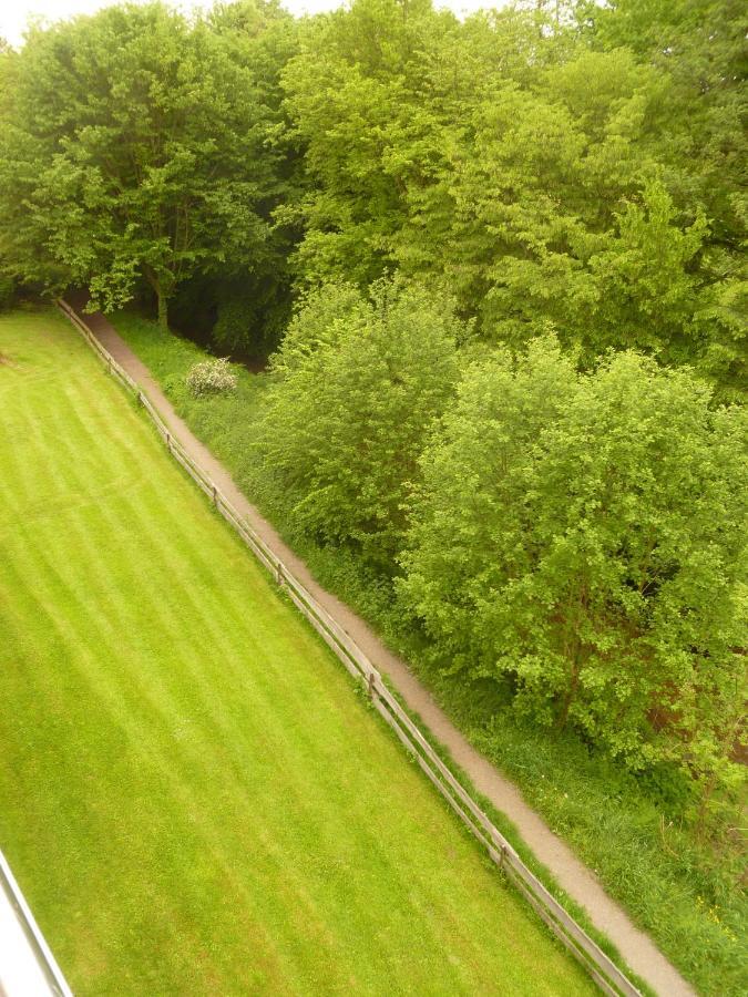 2 Ferienwohnungen Kaiserstuhl Deluxe Bei Freiburg Holzhausen  Exterior foto